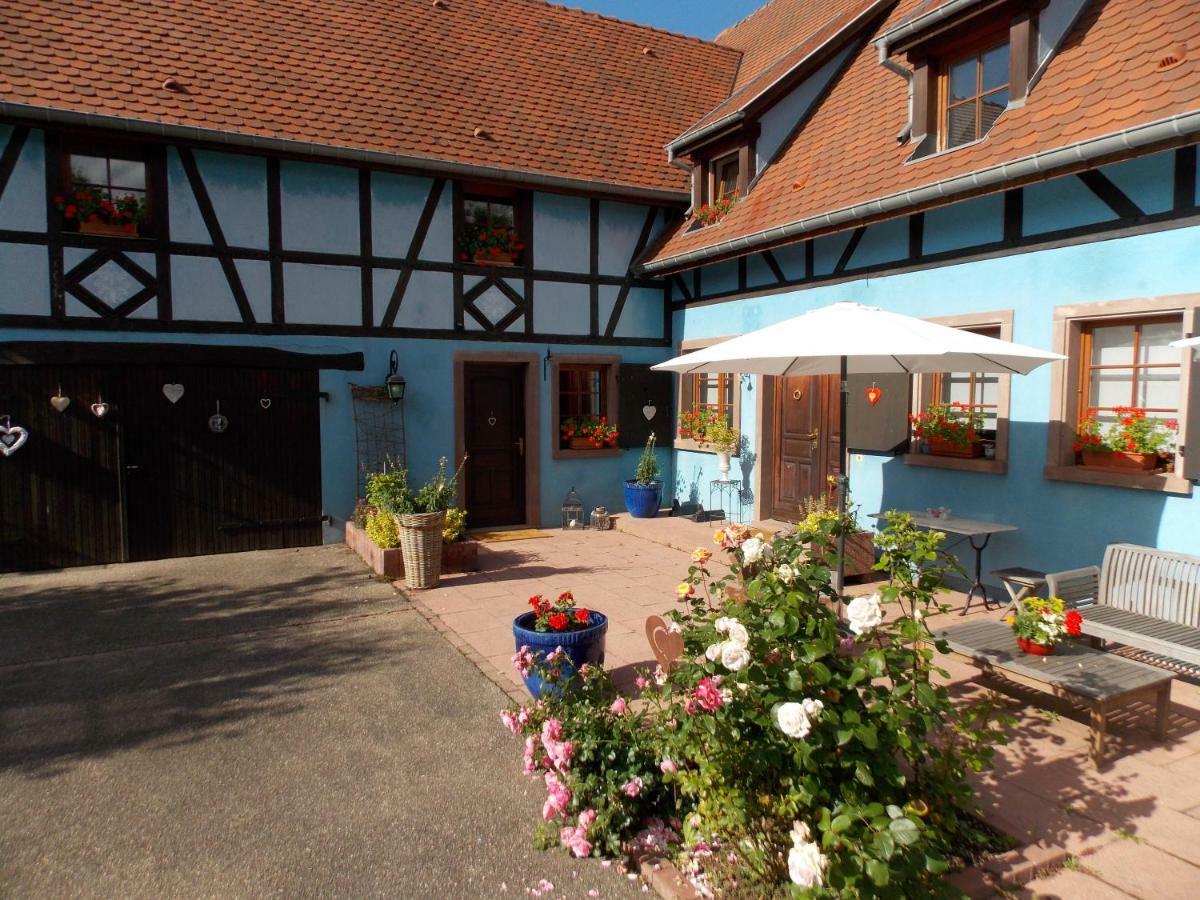 Le Gite Bleu Willgottheim Exterior photo